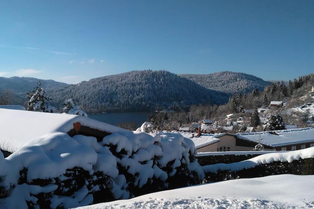 Esprit Myrtille Terrasse Vue Lac Gérardmer Exterior photo