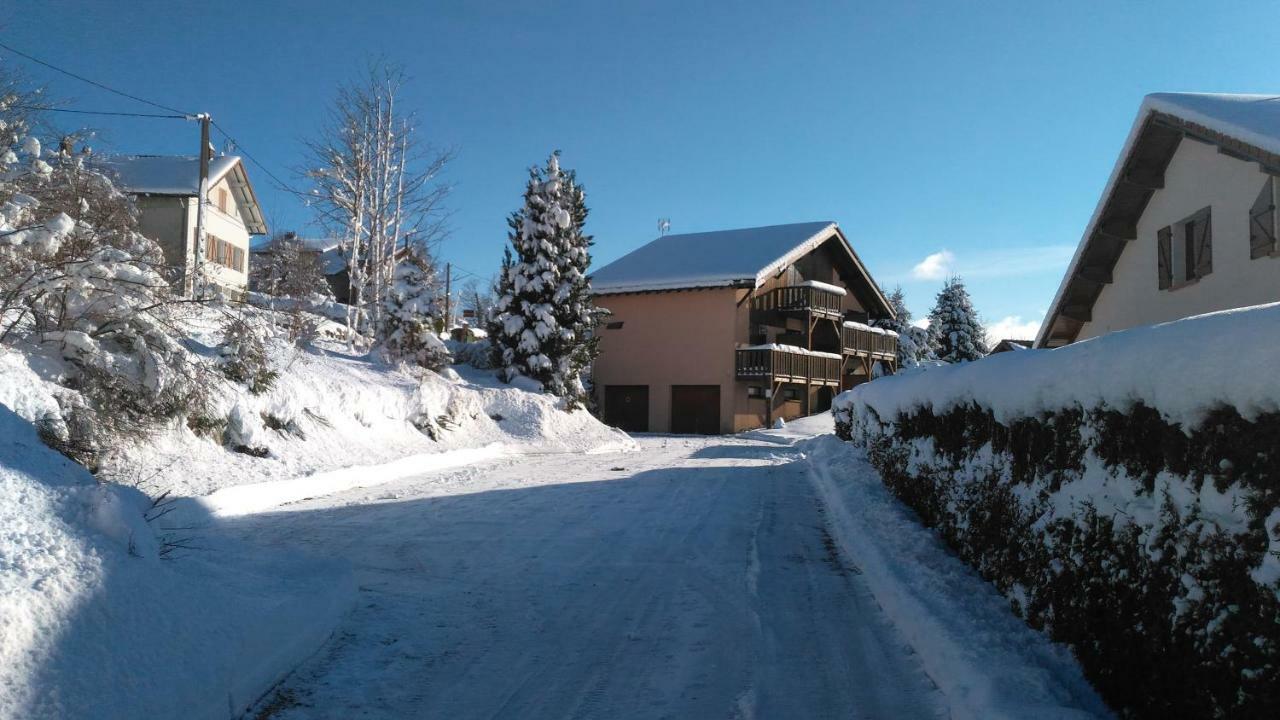 Esprit Myrtille Terrasse Vue Lac Gérardmer Exterior photo