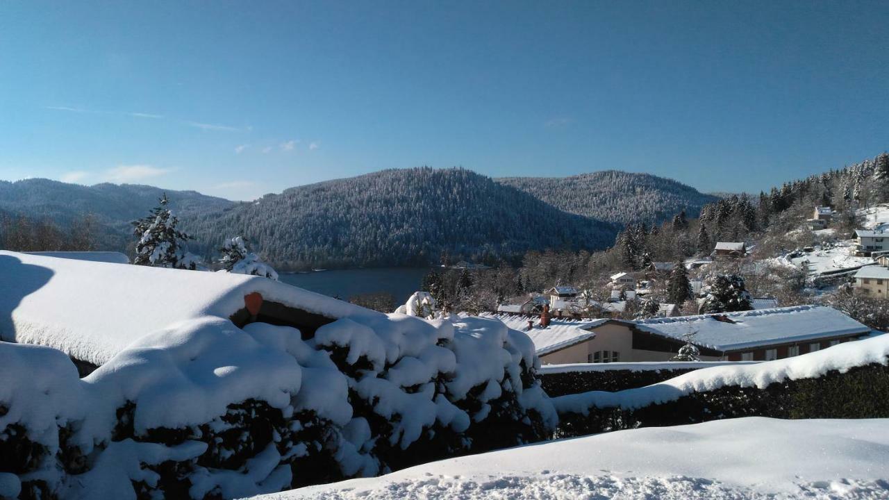 Esprit Myrtille Terrasse Vue Lac Gérardmer Exterior photo